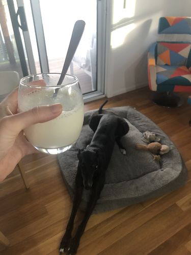 Customer photo review of Collagen Protein | Vanilla Bean