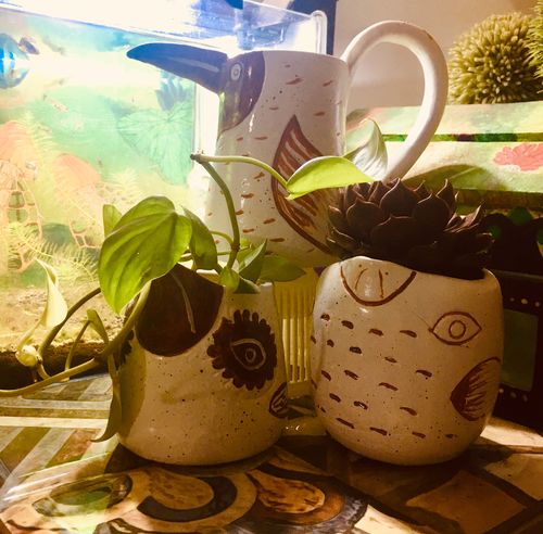 Customer photo review of Birdie Gardener Set
