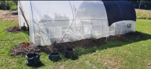 Customer photo review of 20'x10'x7' Tunnel Greenhouse, White