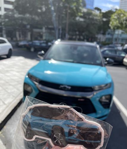 Customer photo review of Custom Air Freshener