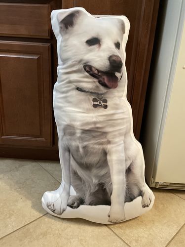 Customer photo review of Create A Custom Dog Pillow