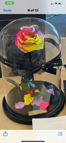 Customer photo review of The Everlasting Rose - Rainbow