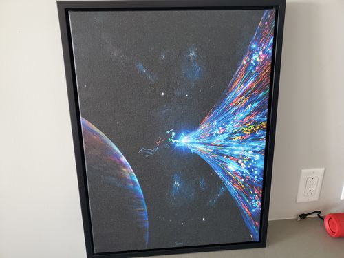 Customer photo review of Big Difference Canvas Set