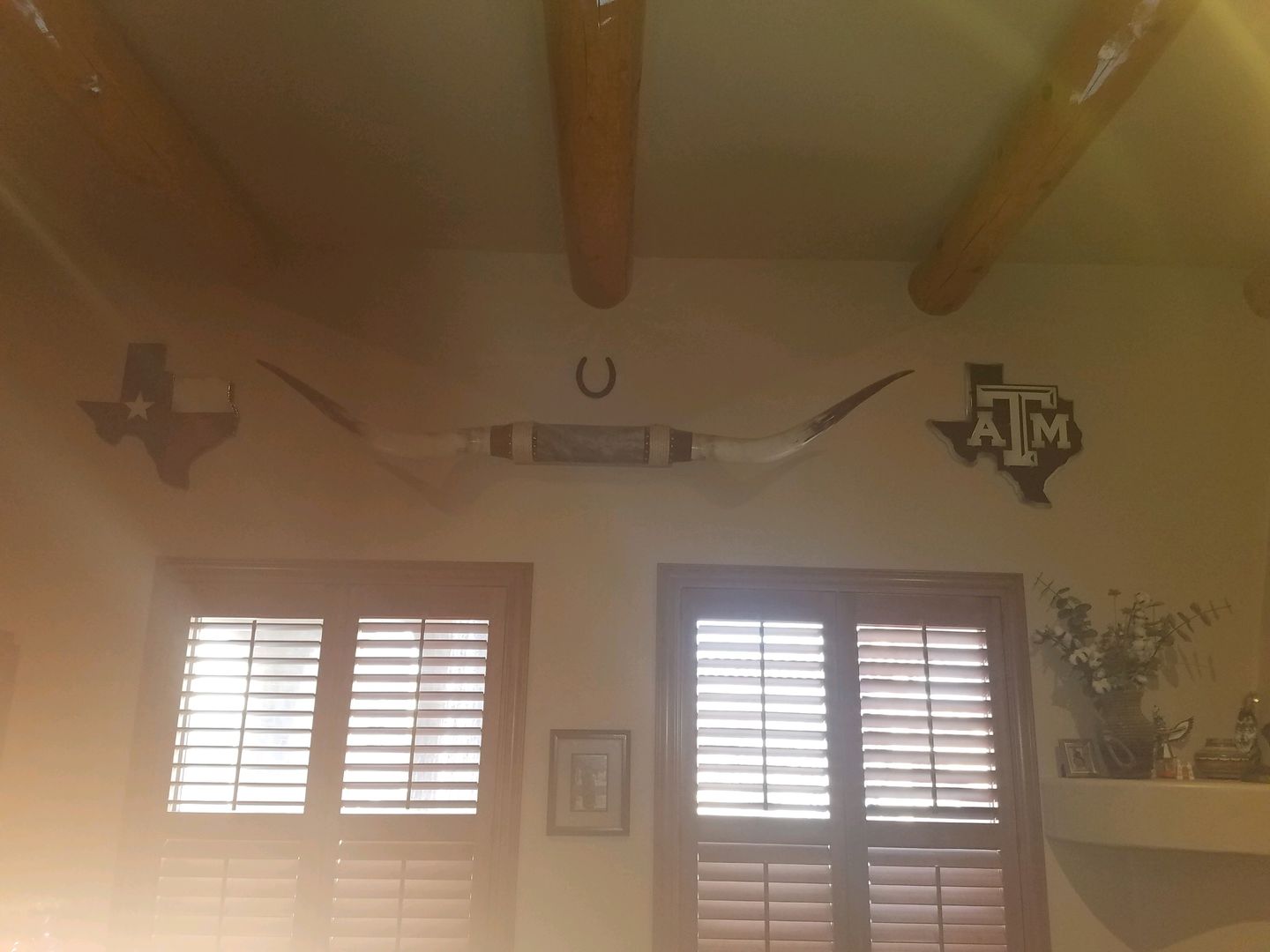 Customer photo review of Texas A&M 3D Metal Art Vintage White on State of Texas 22" x 21.5"
