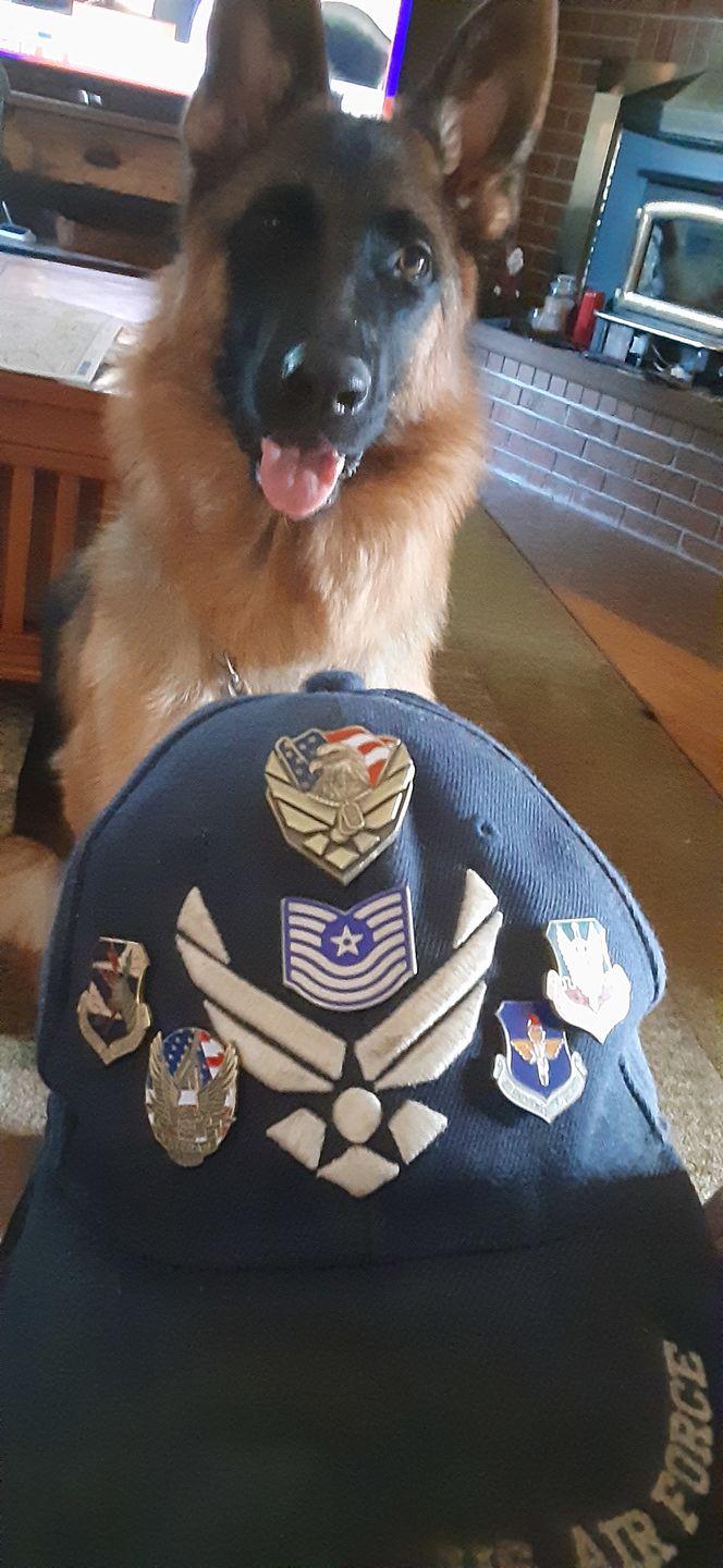 Customer photo review of US Air Force Veteran Pin