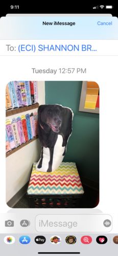 Customer photo review of Create A Custom Dog Pillow