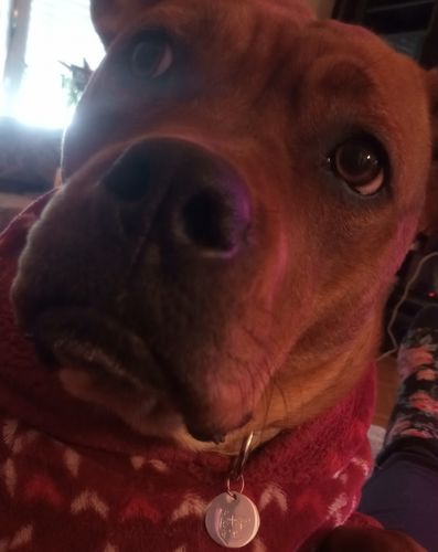 Customer photo review of Match-Me Tag