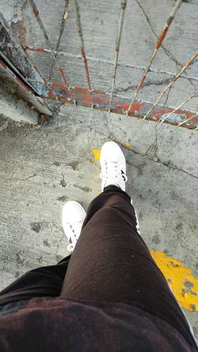 Customer photo review of Theremin Antara