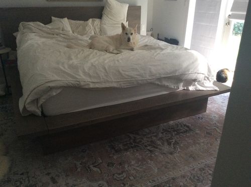 Customer photo review of Distressed Vintage Cezanne Blush Area Rug