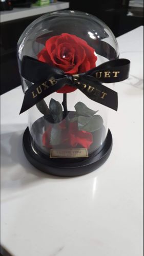 Customer photo review of Mini Everlasting Rose - Red