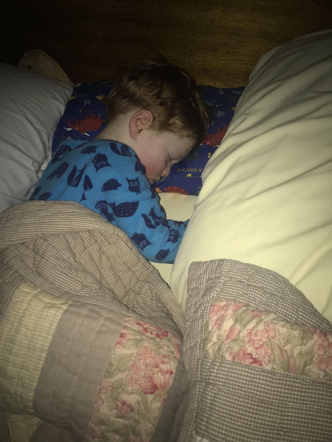 Customer photo review of Wool Pillow, Toddler and Kids, Size: 14"x19"