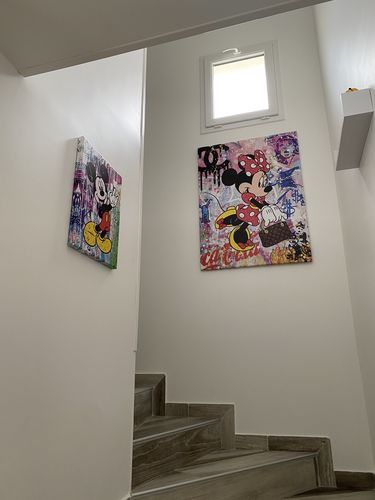 Customer photo review of Tableau Mickey Vuitton