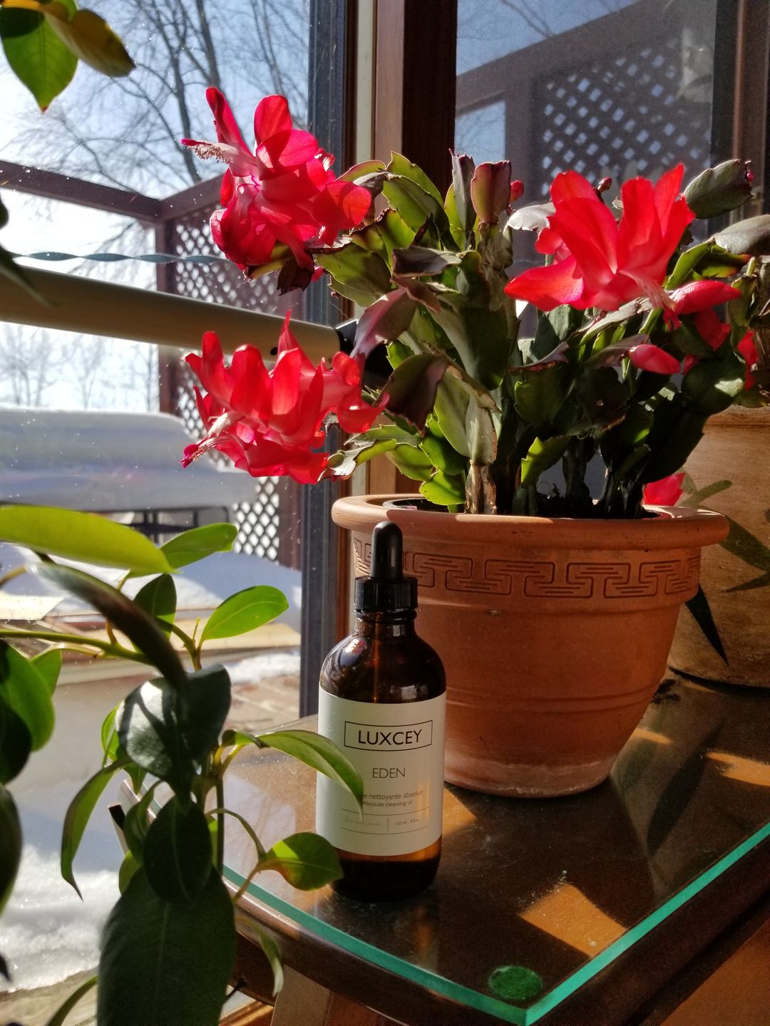 Customer photo review of Eden - Absolute Cleansing Oil