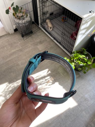Customer photo review of Personalised Leather Dog Collar & Lead