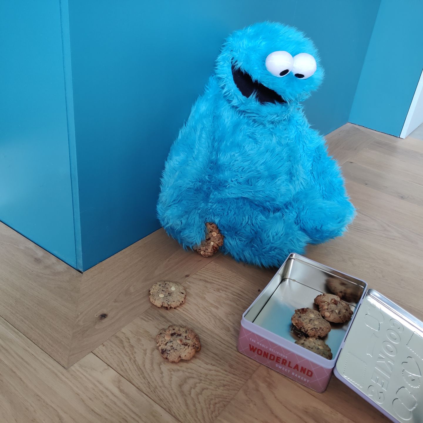 Customer photo review of Cookie Monster Marionnette Sesame Street