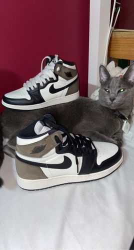 jordan 1 mocha gs
