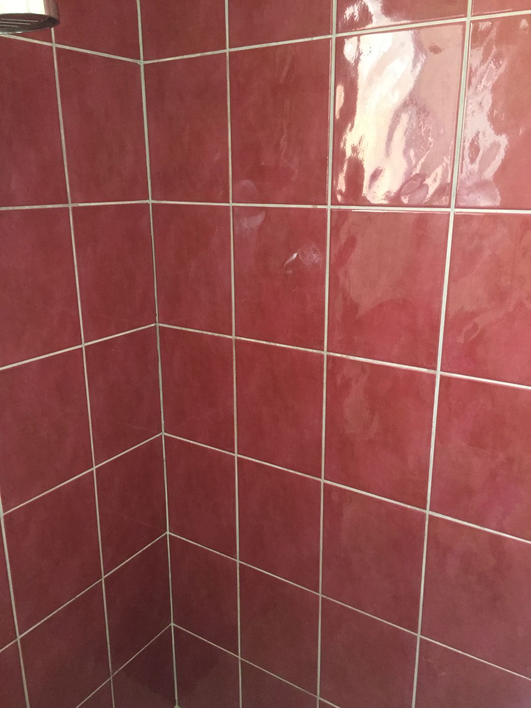 Customer photo review of Shower Cleaning & Protection Kit