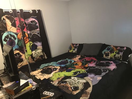 Customer photo review of Colorful Pug 3 Pieces Quilted Comforter Set