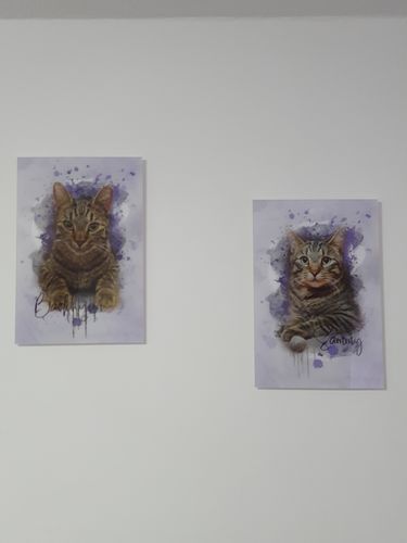 Customer photo review of Aquarell