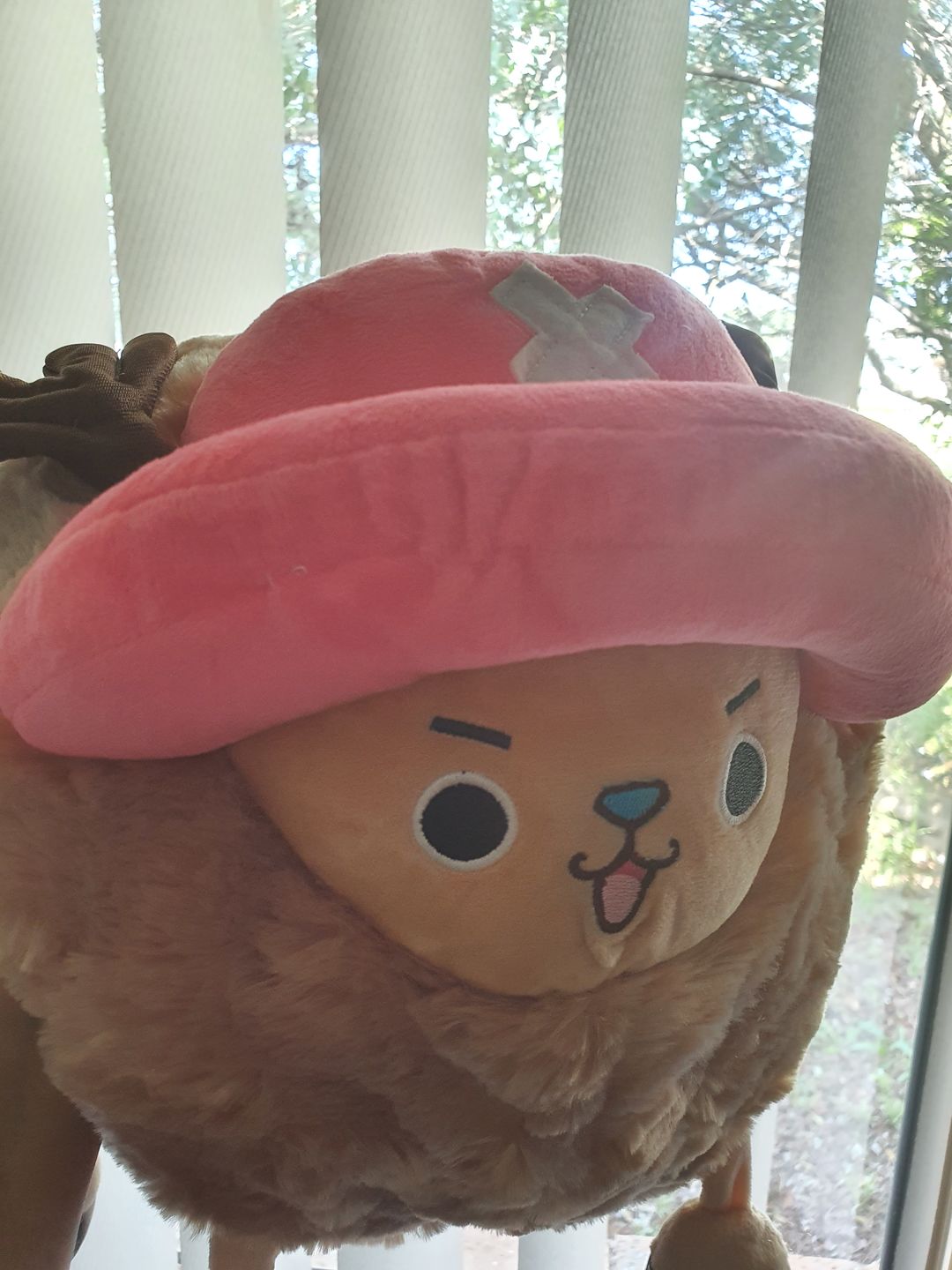 Customer photo review of Chopper Guard Point - Plush Doll
