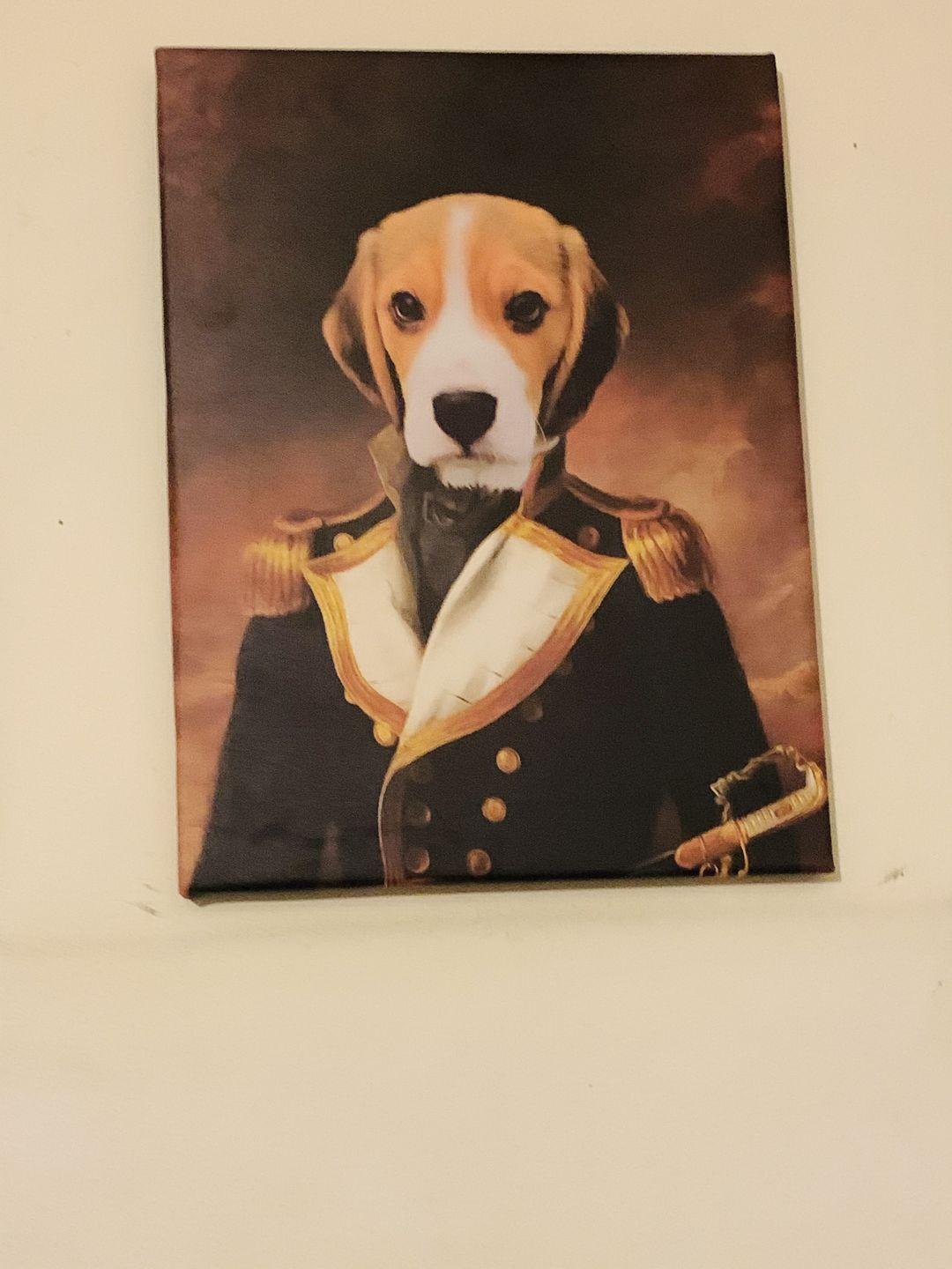 Customer photo review of The Admiral: Custom Pet Canvas