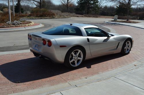 Customer photo review of Custom Car Portrait