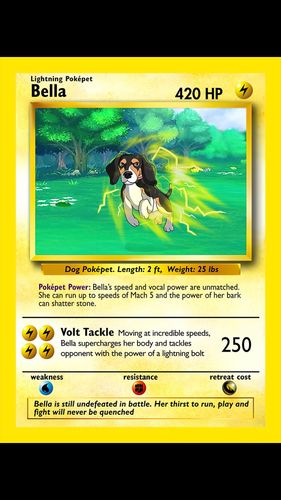 Customer photo review of Pokepet