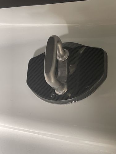 Customer photo review of Door Latch Lock Covers for Tesla Model 3 & Y