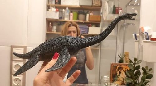 Customer photo review of Figurine Dinosaure Plesiosaurus
