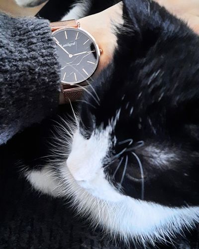 Customer photo review of Paris Marble Edition