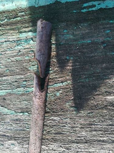 Customer photo review of MASTERBRICOLAGE™ I COFFRET PINCE À GREFFER PROFESSIONNELLE