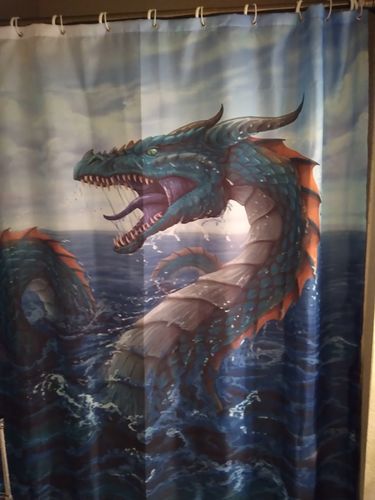 Customer photo review of Vintage Drawn Water Sea Dragon Shower Curtain Bathroom Decor