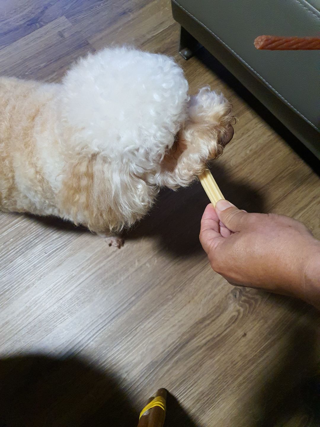 Customer photo review of arrr Dental Chew