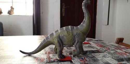 Customer photo review of Figurine Dinosaure Brachiosaure