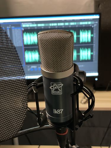 Customer photo review of Mini K87 Condenser Microphone