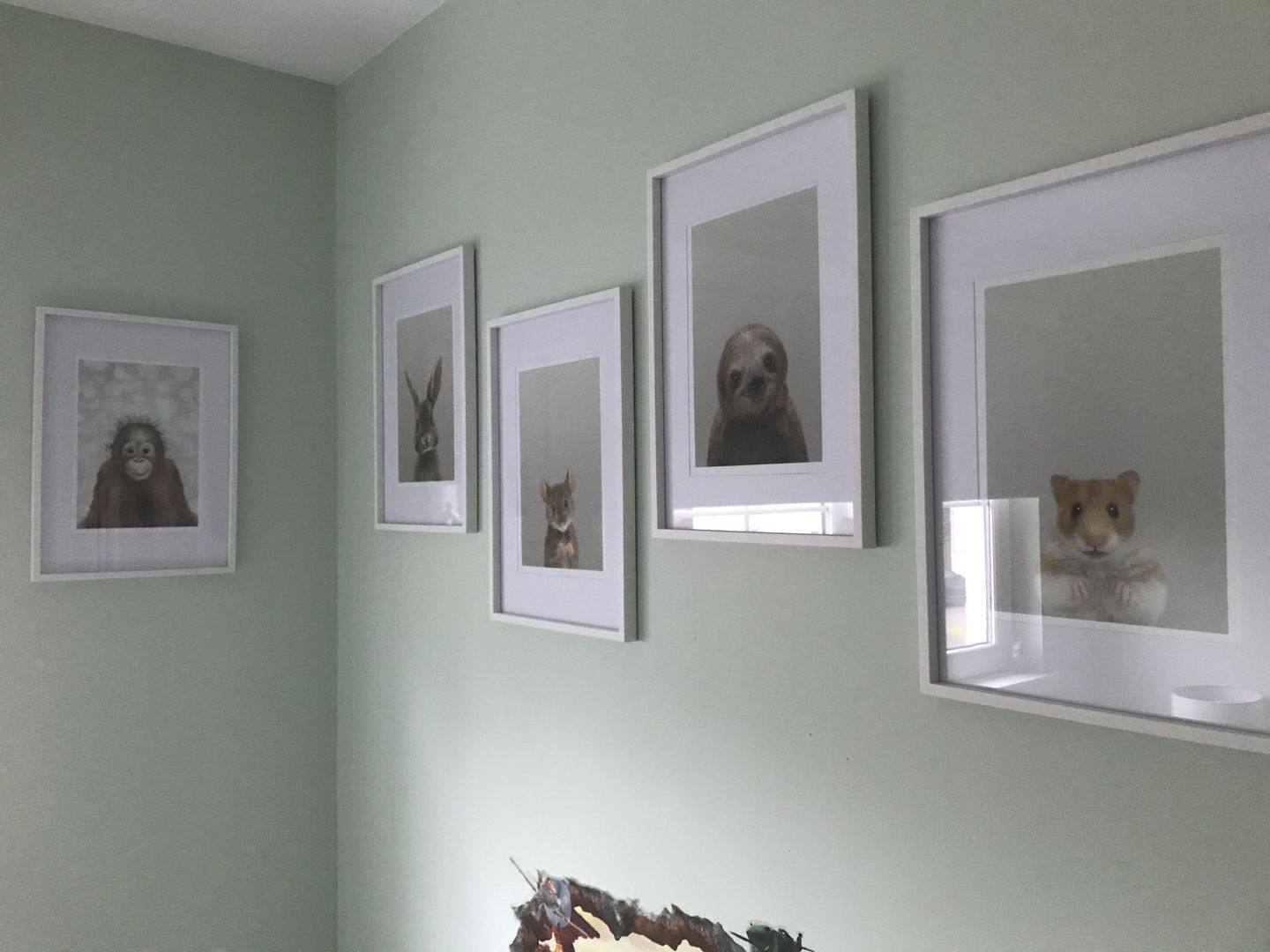 Customer photo review of Orangutan Print
