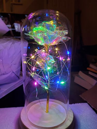 Customer photo review of Galaxy Rose