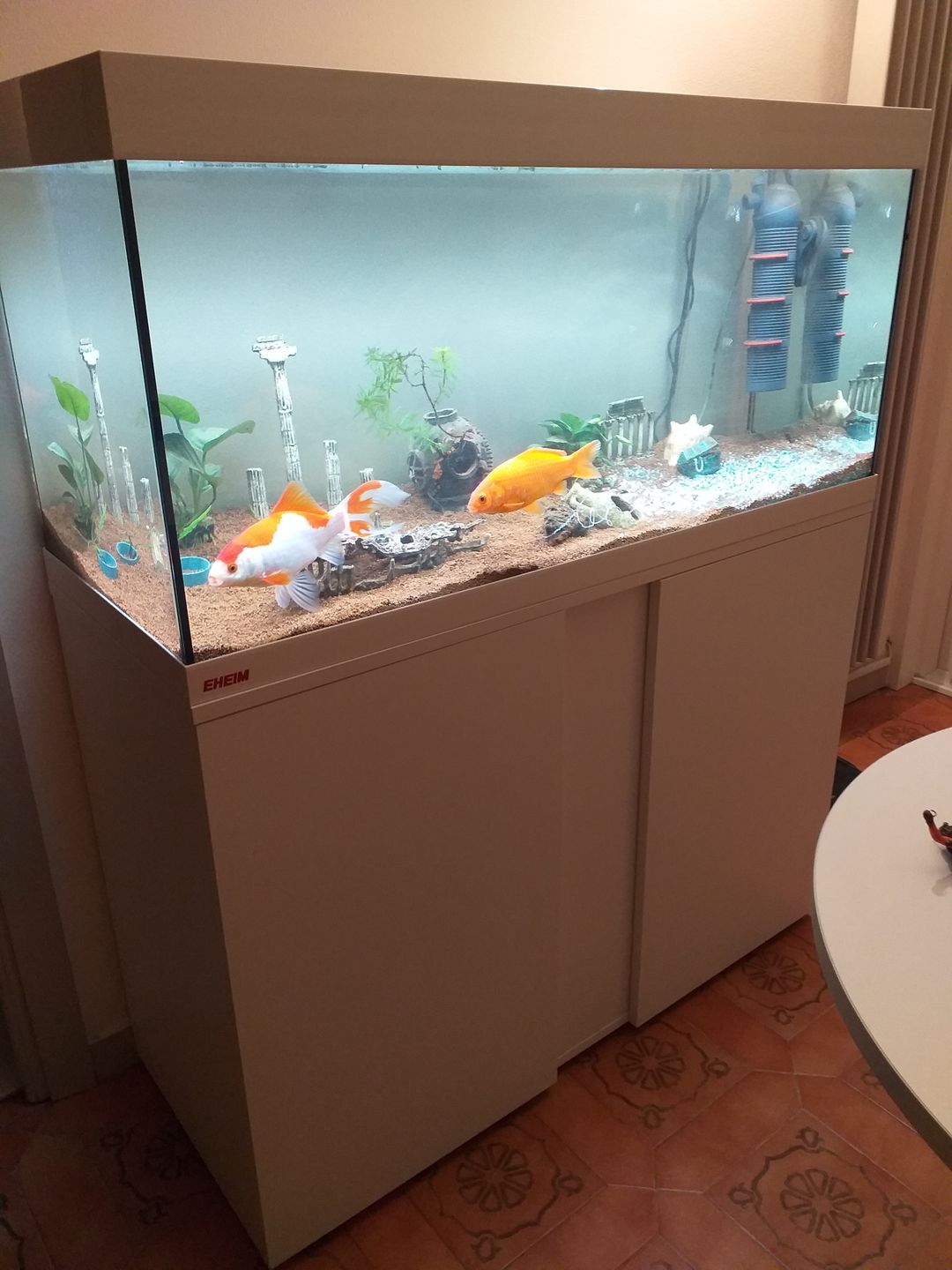 Customer photo review of Aquarium Équipé Vivaline LED 180 Combi Blanc EHEIM - 13,5W