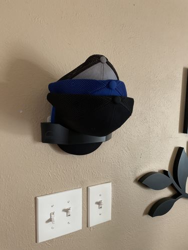 Customer photo review of DomeDock (TM)