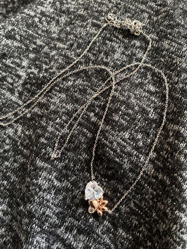 Customer photo review of Paw Bath Bomb - Paw Necklace Collection