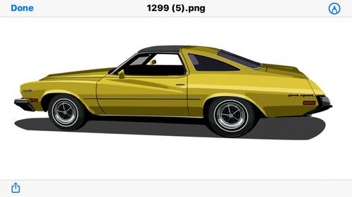 Customer photo review of Custom Car Portrait