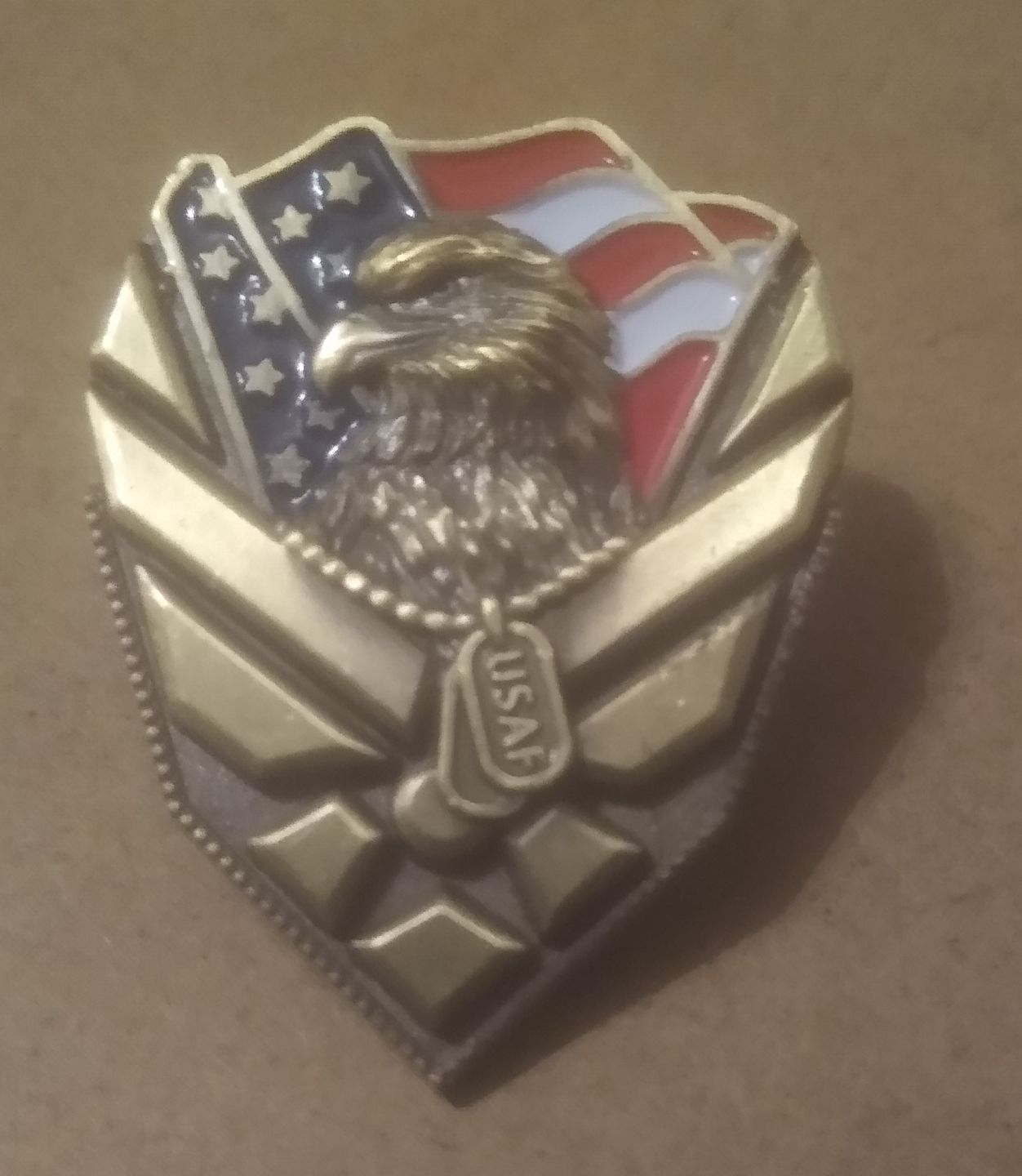 Customer photo review of US Air Force Veteran Pin