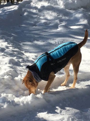 Customer photo review of Petyfy ™ Waterproof Jacket (Lifetime Warranty)