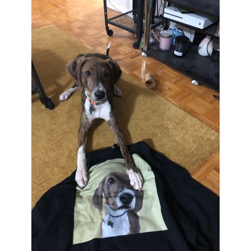Customer photo review of Men's / Women's Premium Pet Portrait Hoodie (Black)