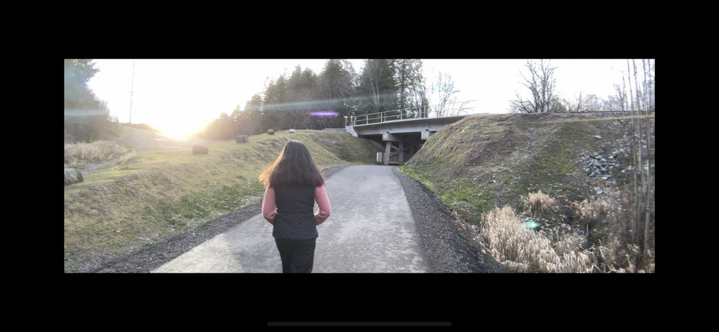 Customer photo review of Pro Series - 1.55X Anamorphic Lens