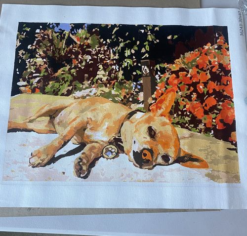 Customer photo review of Custom Paint By Numbers Kit - Upload Your Photo - Brush Set Included