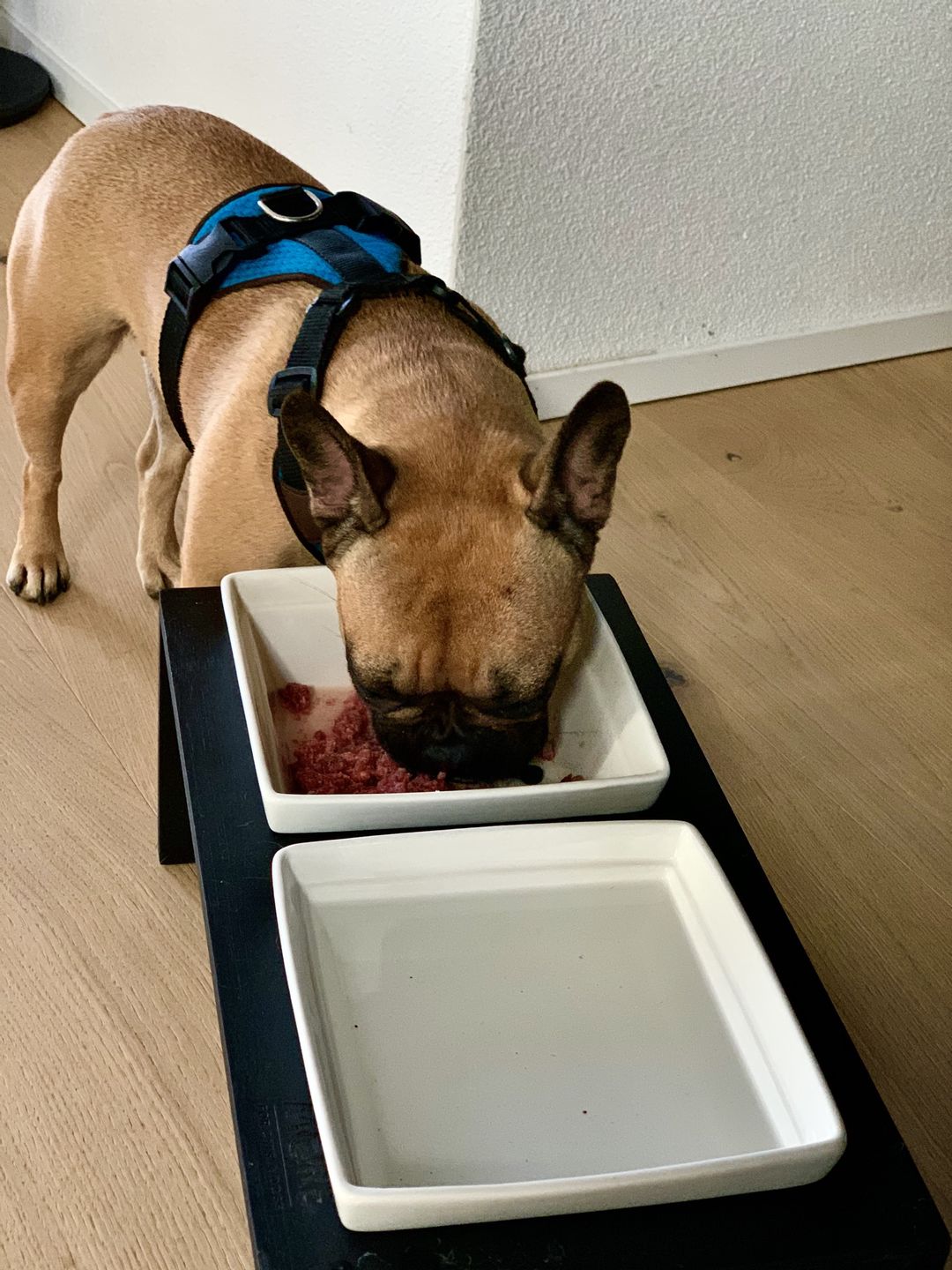 Customer photo review of Geflügel Gemischt 500g ab pro Wurst nur 6.20.-