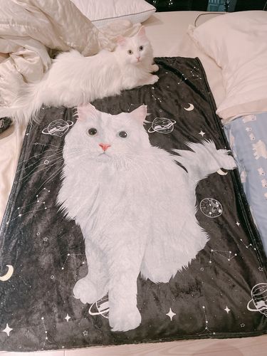 Customer photo review of 【客製】手繪寵物 法蘭絨毛毯 Custom Pet Fleece Blanket
