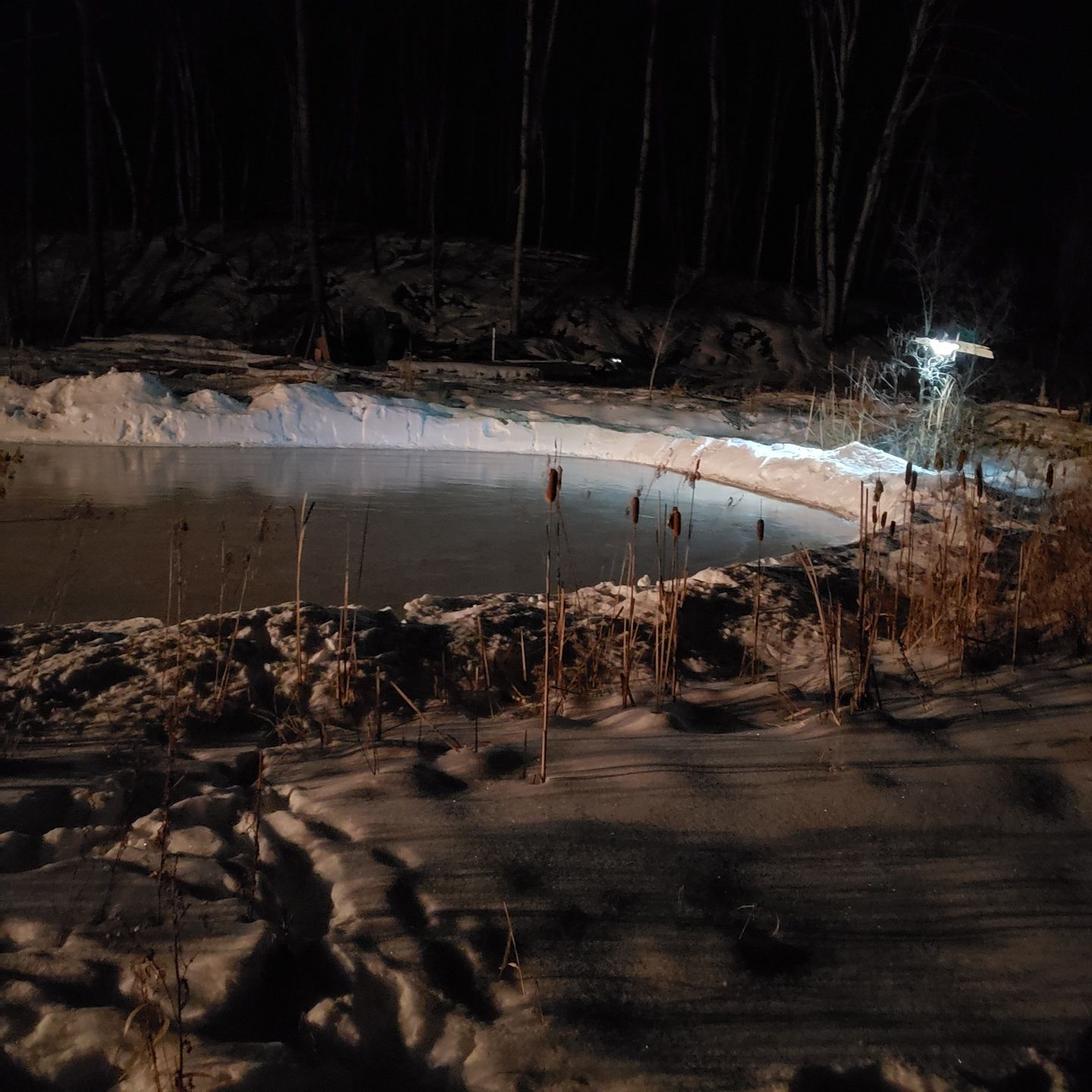 Customer photo review of 118 LED Solar Light 1000 Lumens