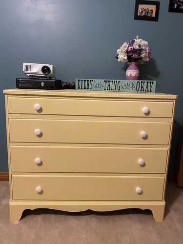 Customer photo review of Palm Beach - One Step Paint